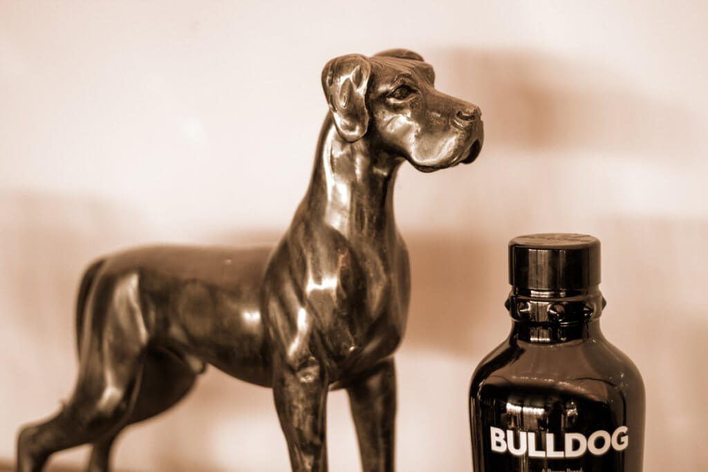 Fiffi Bar - Köln Südstadt - Meine Südstadt