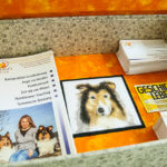 Canis Tutor - Regina Franziska Hiertz - Meine Südstadt Köln