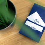 SDH Immobilien Köln