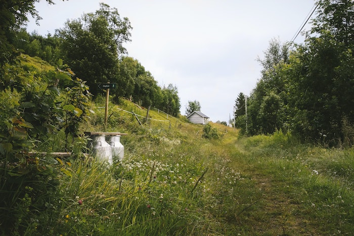 Tewje der Milchmann_meinesuedstadt