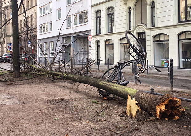 Sturmtief Friederike - Meine Südstadt