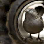 Kunstraum Grevy! - Meine Südstadt