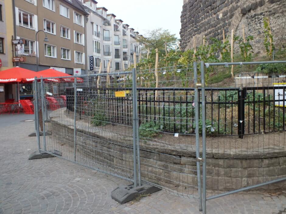 Zaun endlich fertig - Weinberg Severinstorburg