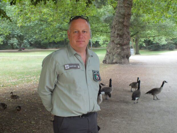 Gänse im Volksgarten