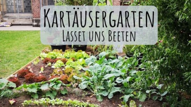 lasset uns Beeten_meinesuedstadt