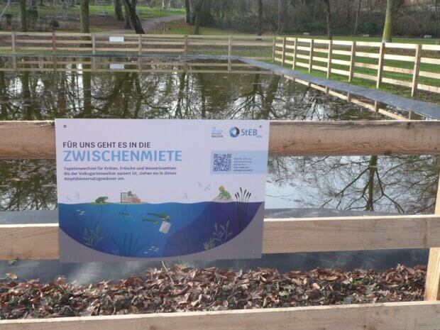 Ersatzteich für Kröten, Frösche und Insekten_bb