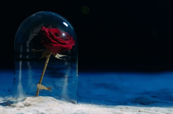 emotionheader19936406