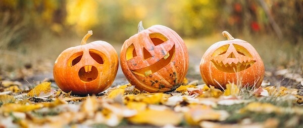 pumpkin-6720424_1280 2